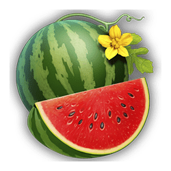 Icon 5 Burning Slots Cash Mesh Ultra