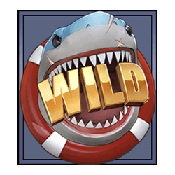 Wild Symbol of Net Gains Slot