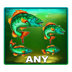 Icon 6 Big Catch Bass Fishing