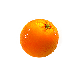 Icon 8 Fruits & Clovers 20 lines