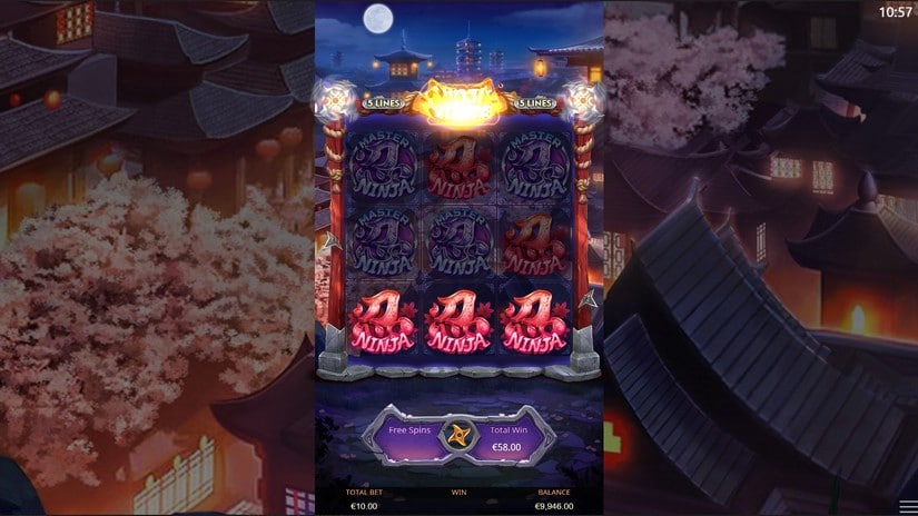 Ninja Vixens slot screen 5