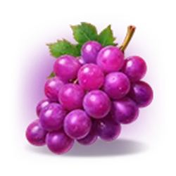 Icon 5 Joker Coins Expanded