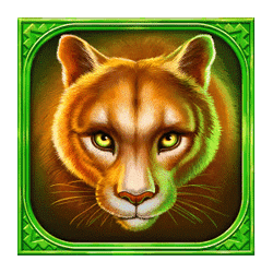 Icon 3 Mustang Hold and Win