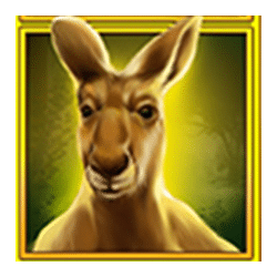 Icon 2 Outback Gold: Hold & Win