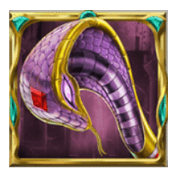 Icon 3 Oasis of Dead