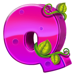 Icon 6 Wild Hop&Drop