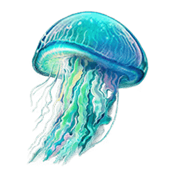 Icon 5 Turtle Paradise