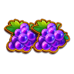 Icon 5 3х5 Hold The Spin