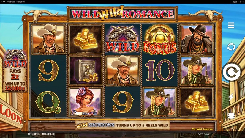 Wild Wild Romance slot screen 1