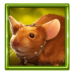 Icon 6 Book Of Enchantments