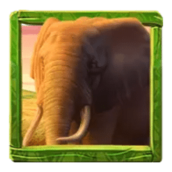 Icon 1 Savannah Spirits