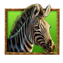 Icon 4 Stampede Gold