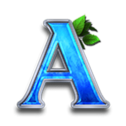 Icon 7 Timeless Rose