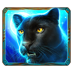 Icon 2 Jaguar Princess