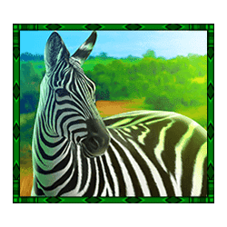 Icon 3 Rumble Rhino Megaways