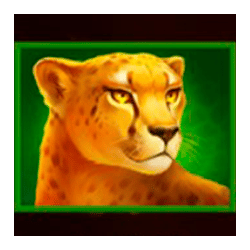 Icon 4 Lion Gems: Hold and Win