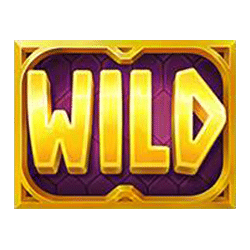 Wild Symbol of Riches of Midgard: Land and Expand Slot