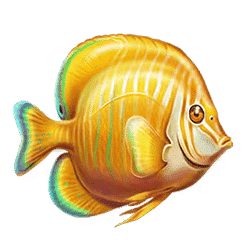 Icon 1 Turtle Paradise