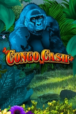 Congo Cash XL