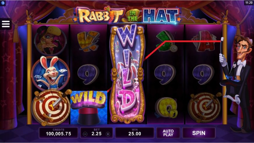 Rabbit in the Hat slot screen 3