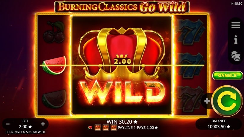 Burning Classics Go Wild slot screen 5