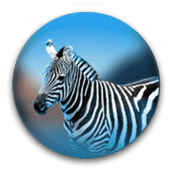 Icon 4 Lion’s Pride