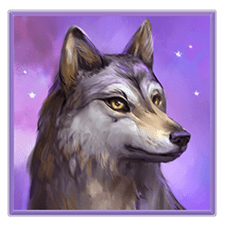 Icon 6 Savage Buffalo Spirit