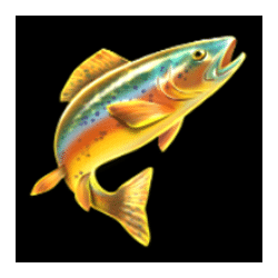 Icon 2 Amazing Catch