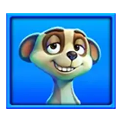 Icon 3 Safari Mystery