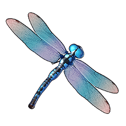 Icon 3 Big Bass – Keeping it Reel