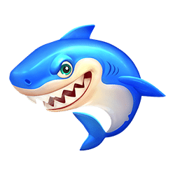 Icon 11 It’s Shark Time