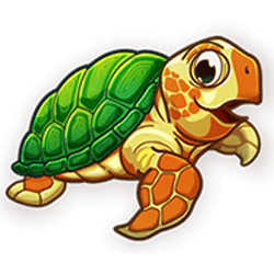 Icon 4 Aloha Spirit XtraLock