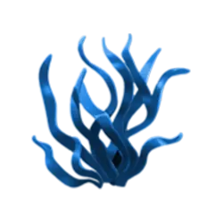 Icon 6 Fish n’ Fish