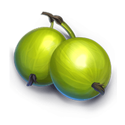 Icon 3 Winterberries 2