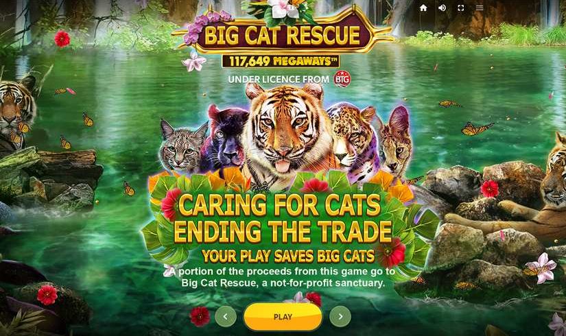 Big Cat Rescue MegaWays slot screen 1