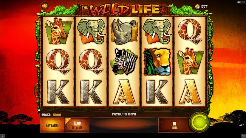 The Wild Life slot screen 2