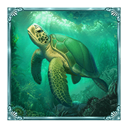 Icon 5 Book of Poseidon