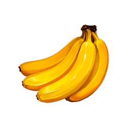 Icon 6 Twin Fruits of Olympus