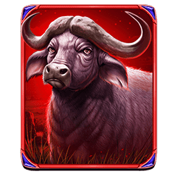 Icon 6 The Ultimate 5