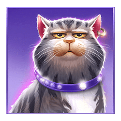 Icon 3 Kitty POPpins