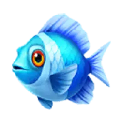 Icon 1 Marlin Masters The Big Haul