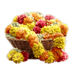 Icon 5 Ganesha Fortune