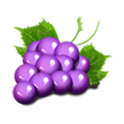 Icon 5 Fruityliner 100