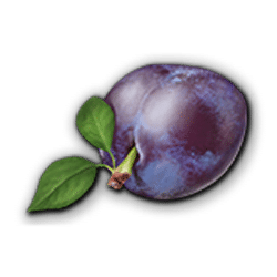 Icon 6 Sakura Fruits