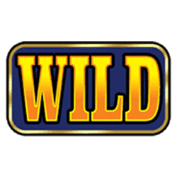 Wild Symbol of Hold4Timer Slot