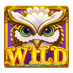 Wild Symbol of 11 Enchanting Relics Slot