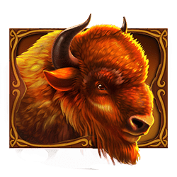 Icon 1 Wild Bison Charge