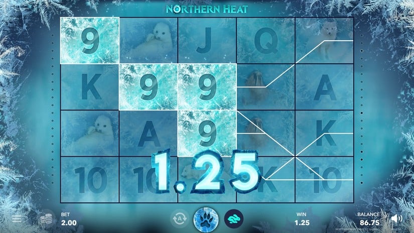 Northern Heat slot screen 2