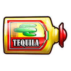 Icon 4 Chilli Willie