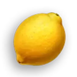 Icon 7 Fortune Coins